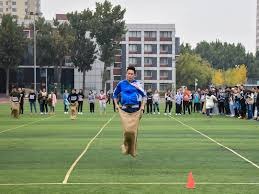 10支队伍，77对组合！2025年全国马术盛装舞步锦标赛参赛规模创历史新高